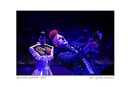 Bernhard Saalfeld - 05 - Circus Roncalli_800